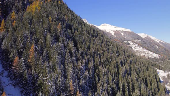 Mountain Forests in the Fall in Switzerland