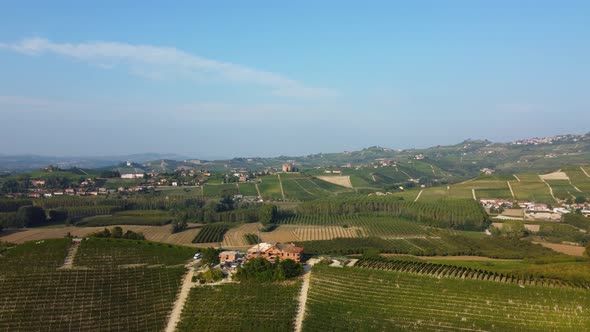 Langhe Vineyard Aerial View, Piedmont Italy