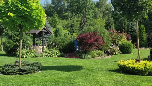 Multicolored Shrubs And Plants In Garden. 