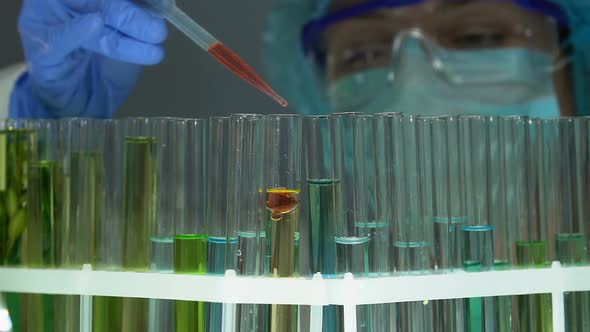 Lab Expert Pouring Red Liquid Into Tube With Oily Substance, Perfumery Extract