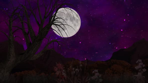 Nature background of Night Starry Sky Moon, mountain and Tree