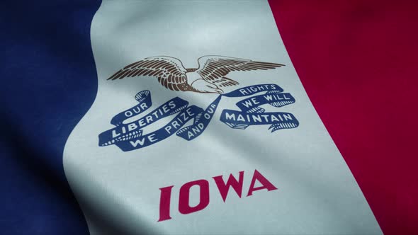 State Flag of Iowa Waving in the Wind