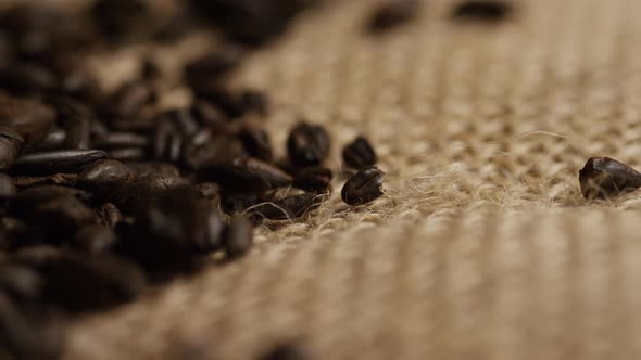 Rotating shot of barley and other beer brewing ingredients