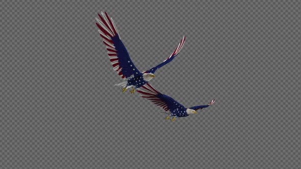 USA Eagles - 2 Birds - Flying Loop - Side Angle 4K