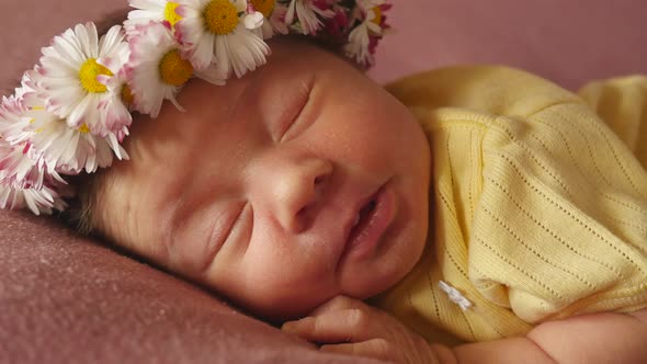 Adorable Newborn Baby in Wreath Sleeping