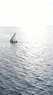 Boat Boats in the Ocean Near the Coast of Zanzibar Tanzania Slow Motion Vertical Video