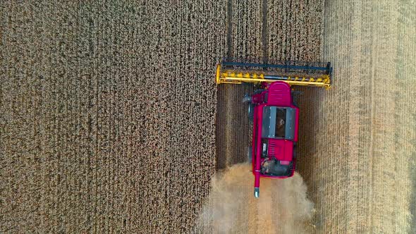 Modern agricultural equipment. Pink combine harvester working on field during seasonal works. 