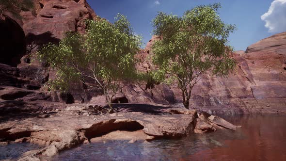 Lake Powell at Sunny Day in Summer