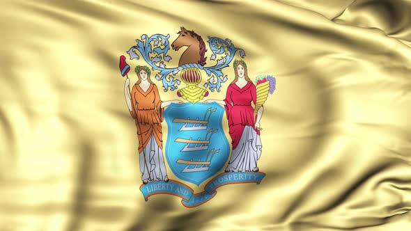 New Jersey State Flag