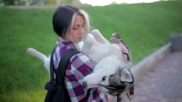 Beautiful Young Woman Playing with Funny Husky Dog Outdoors in Park at Sunset or Sunrise on Green