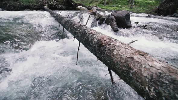 Mountain River with Rocks in Wood Slow Motion Footage Dolomites South Tyrol Italy