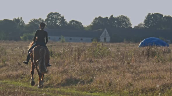 Horse with Rider Galloping Near Forest Equestrian Training Outdoors