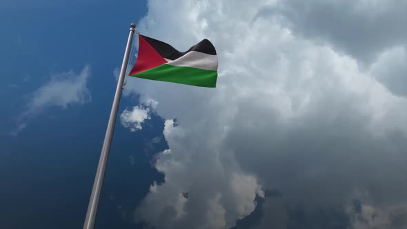 Palestine Flag Waving 2K