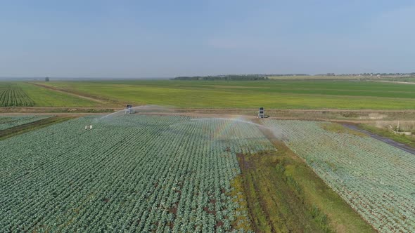 Irrigation System on Agricultural Land