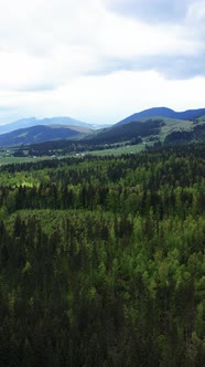 Carpathian Mountains