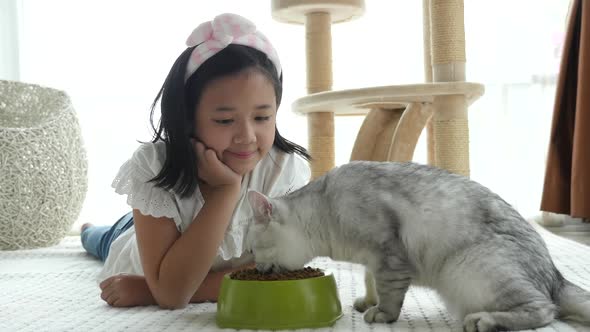 Cute Asian Girl Feeding American Shorthair Cats At Home