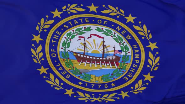 Flag of New Hampshire State Region of the United States Waving at Wind