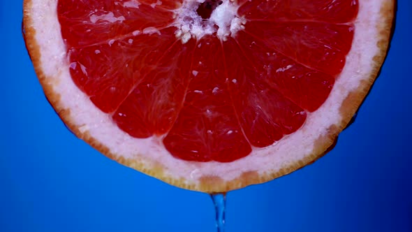 Juicy Pulp of Fresh Red Grapefruit in Blue Background Fresh Water or Juice is Flowing From Slice