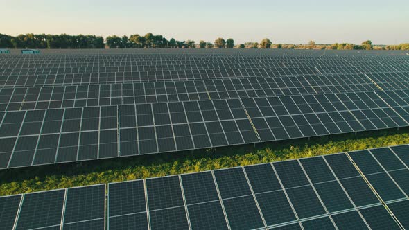 Aerial View of Solar Farm on the Green Field at Sunset Time Solar Panels in Row