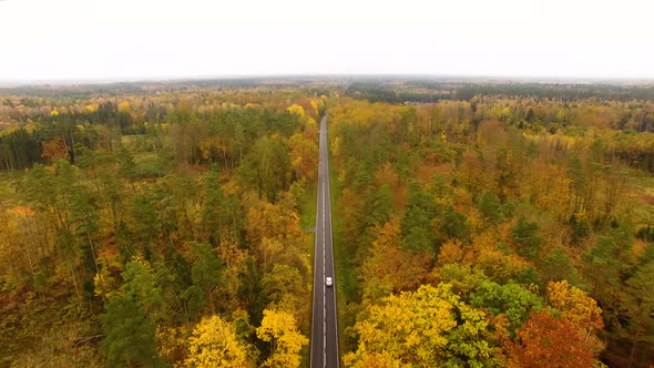 Aerial view of the road through the forest in autumn