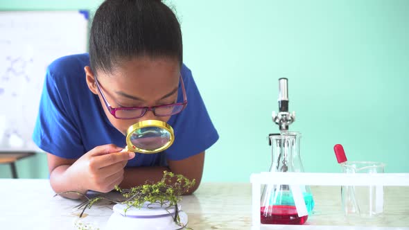 Young African American Kid Using Magnifying Glass in Chemistry and Biology Classroom Lab Experiment