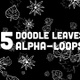 Leaves Doodle - VideoHive Item for Sale