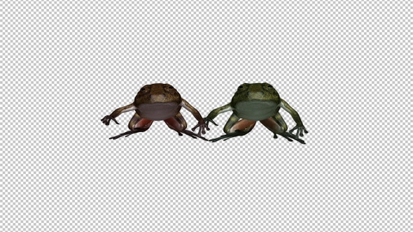 Jumping Frogs - Green VS Brown - Front View alt