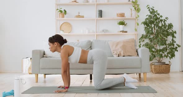 Young Sporty African American Lady Lifting Legs Up Standing on All Fours, Home Training Concept