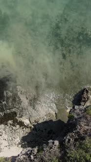 Vertical Video of the Ocean Near the Coast of Zanzibar Tanzania