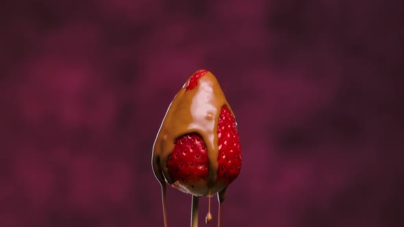 A Stream of Melted Milk Chocolate Pours Over Ripe Juicy Strawberries