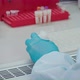 Laboratory Assistant Is Working with DNA Samples - VideoHive Item for Sale