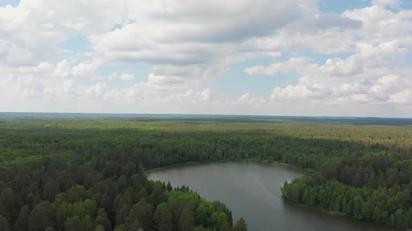 Landscape of a Lake in the Middle of the Forest