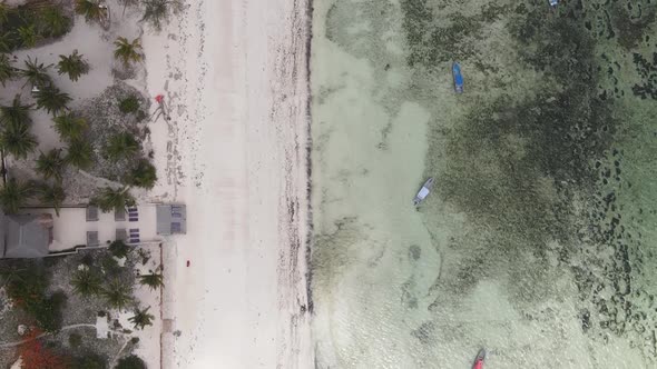 Zanzibar Tanzania  Vertical Video of the Ocean Near the Coast Slow Motion