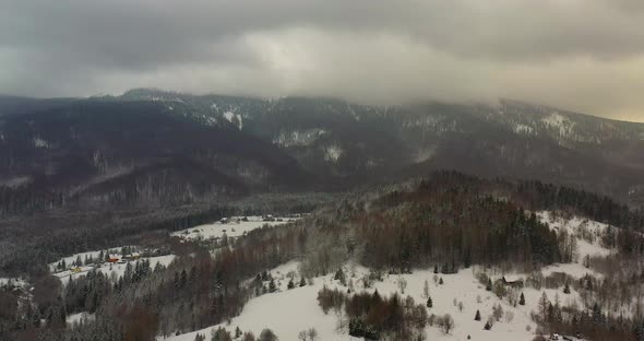 Aerial View of Forest Covered with Snow in Mountains