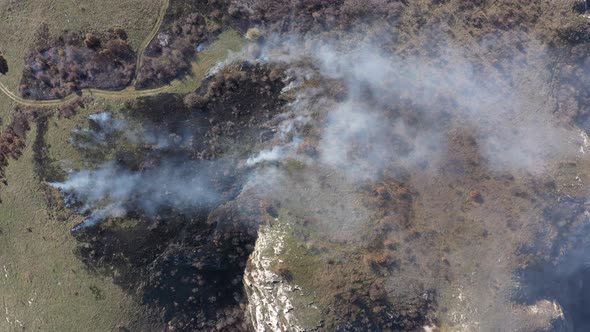 Bushes and trees burning from drone perspective 4K video