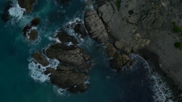 Top down aerial view of group of seals on wild rocky shore in New Zealand