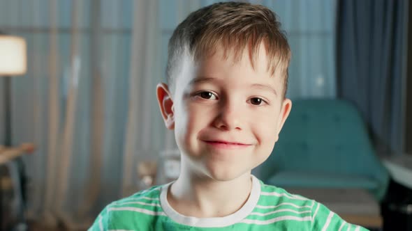 Portrait Funny Little Boy Smiling Child Looking at Camera are Sitting on the Couch at Home Cute Kid