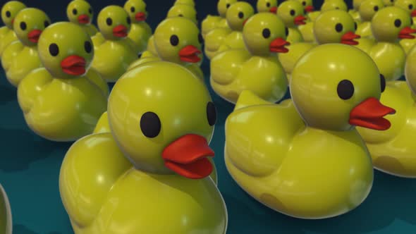 A Lot Of Plastic Rubber Bath Ducks In A Row Hd
