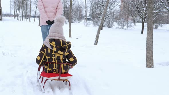 Family with sleigh in snow.