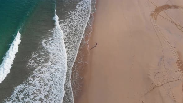One person walks alone on golden beach at Porto Santo island, Portugal. Aerial top down view