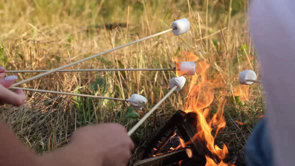 A Group of Children on a Picnic They Fry Marshmallows By the Fire and Have Fun at a Summer Camp