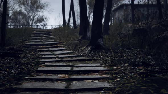 Old Abandoned Garages in the Forest alt