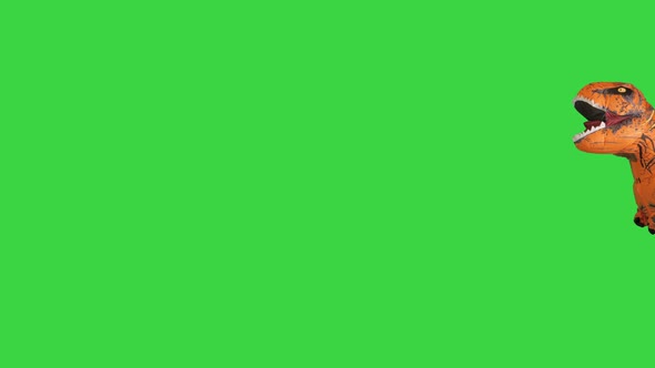 Dinosaur Jumping Into the Frame and Running Away on a Green Screen Chroma Key