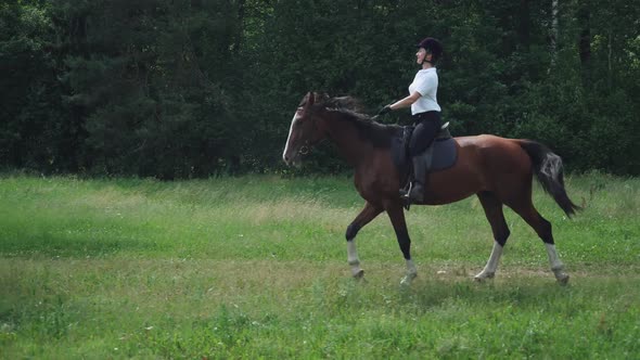 Woman Rider on Horseback Riding in a Clearing Near the Forest Horse Walking Along a Forest Path