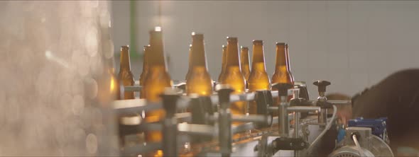 Beer bottles collected by factory worker