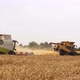 Wheat Harvesting on Field in Summer Season - VideoHive Item for Sale