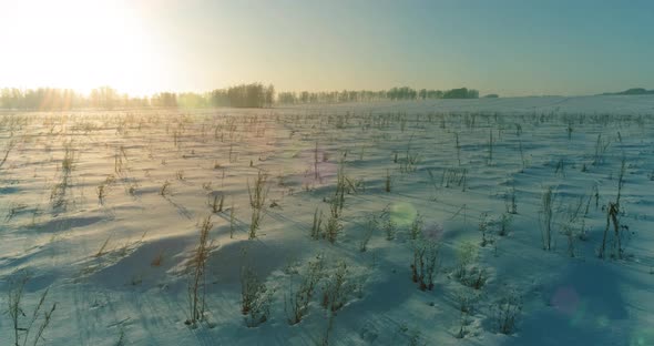 Aerial Drone View of Cold Winter Landscape with Arctic Field Trees Covered with Frost Snow and