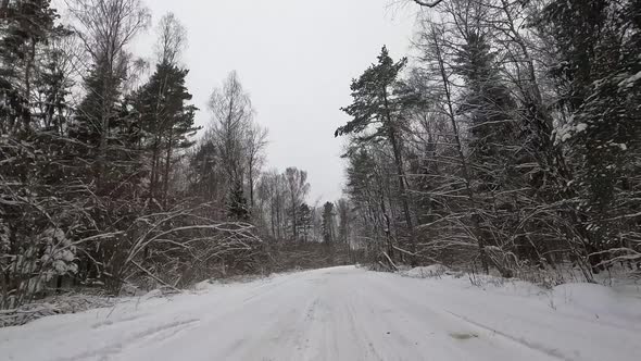 View of the snowy road in forest.