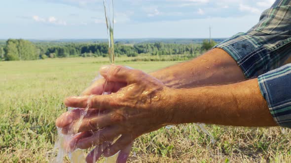 Farmland Worker Washing His Hands Closeup