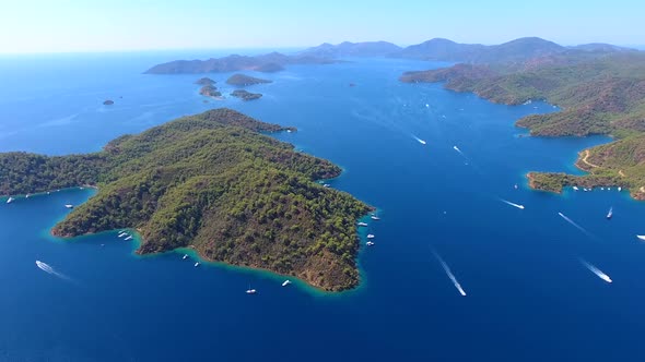 Calm and Uninhabited Forest Island in The Sea Without Human Habitation